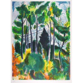 Rasnussen Harder Torben