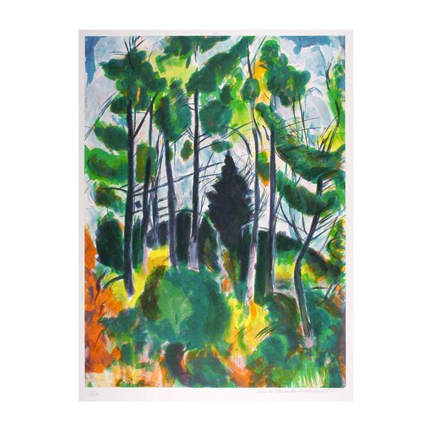 Rasnussen Harder Torben