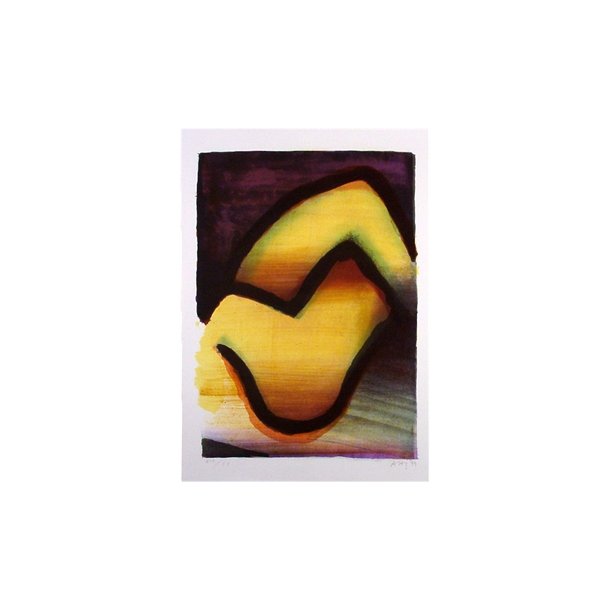 Haugen Srensen, Arne